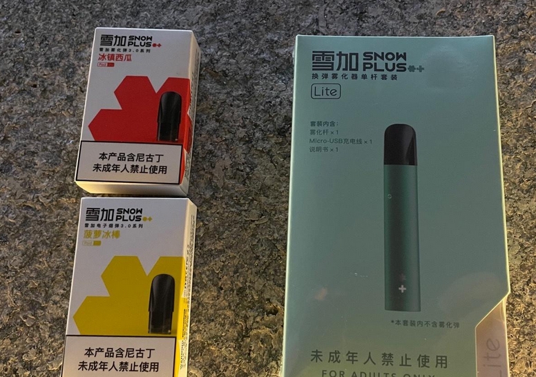 雪加三代进化论：从磁吸式到鸭嘴兽，国标下的生死突围
