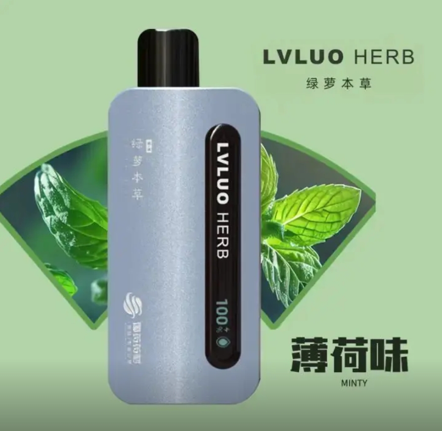 LVLUO绿箩MINI青春版测评：小身材大电量，便携党终极福音？