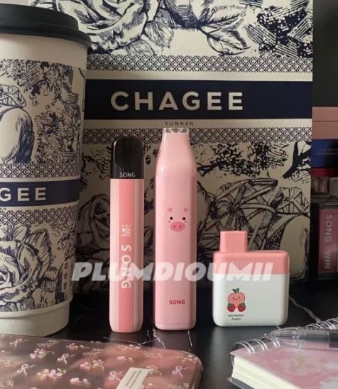 从“随手丢弃”到“环保焦虑”：崧一次性电子烟，便利与责任该如何权衡？