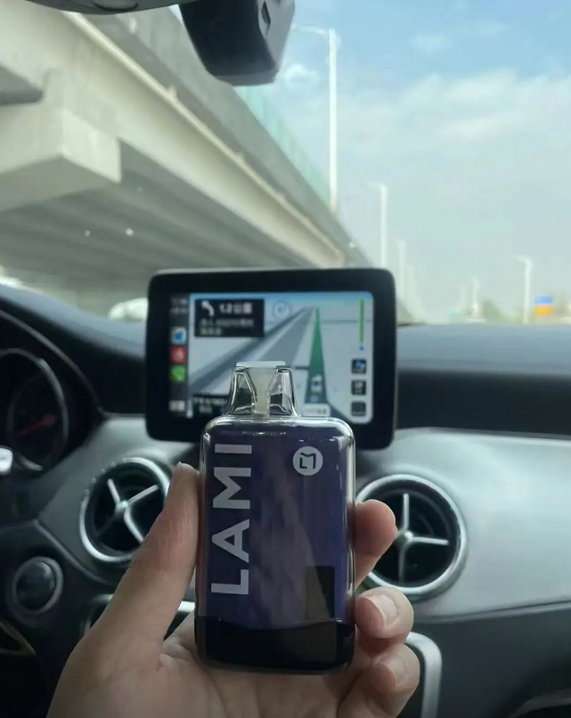 LAMI徕米 (12).png LAMI徕米 (12).png