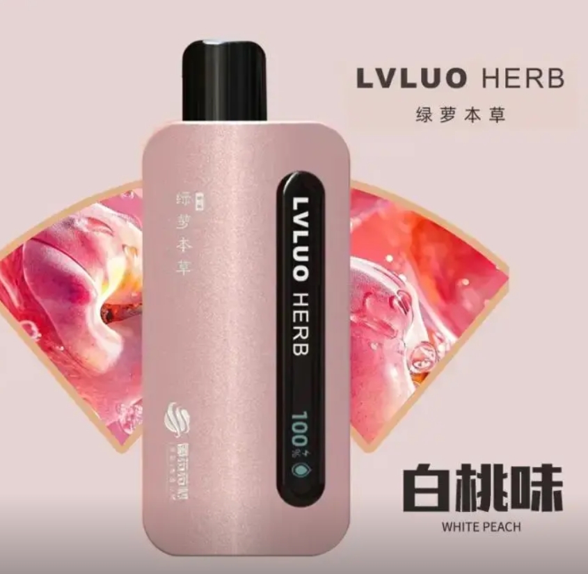 LVLUO绿萝 (6).png LVLUO绿萝 (6).png