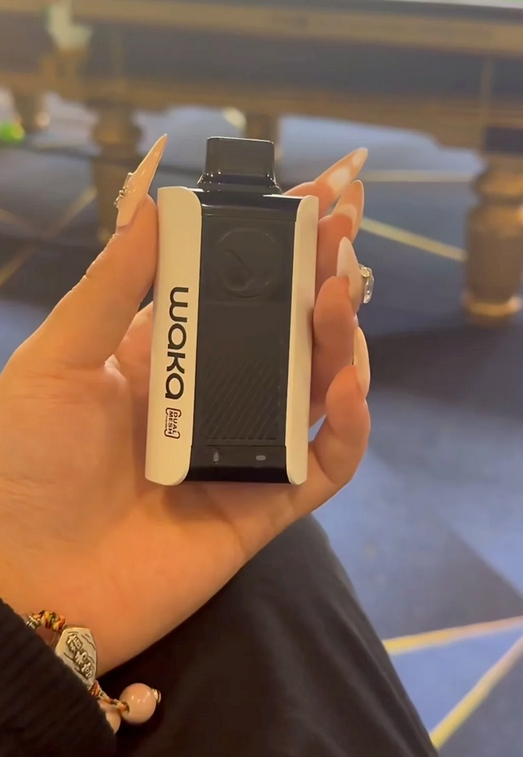 实测续航大对决:WAKA soPro PA10000 vs Geek Bar Pulse 15000,谁才是真·万口王者?