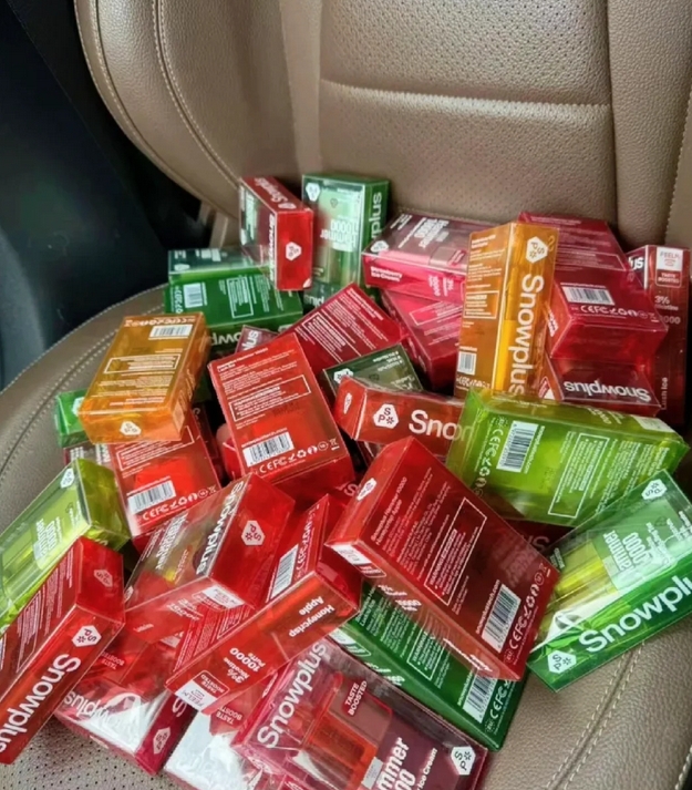 雪加snowplus(149).png 雪加snowplus(149).png