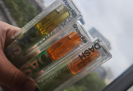 2025年一次性电子烟鸭嘴兽真伪辨别指南