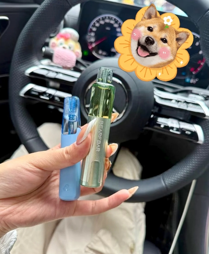 比熊三代 (16).png