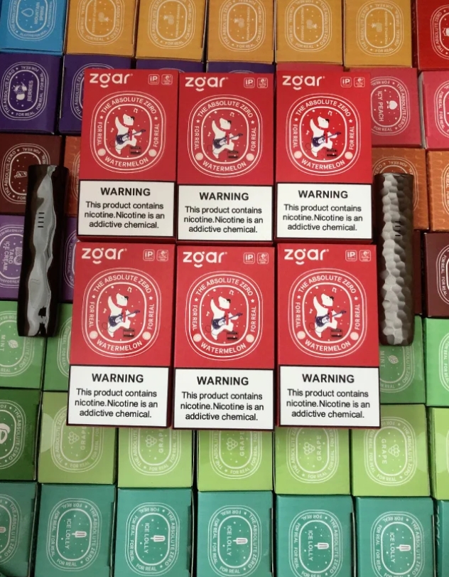 ZGAR真格冰熊 (28).png