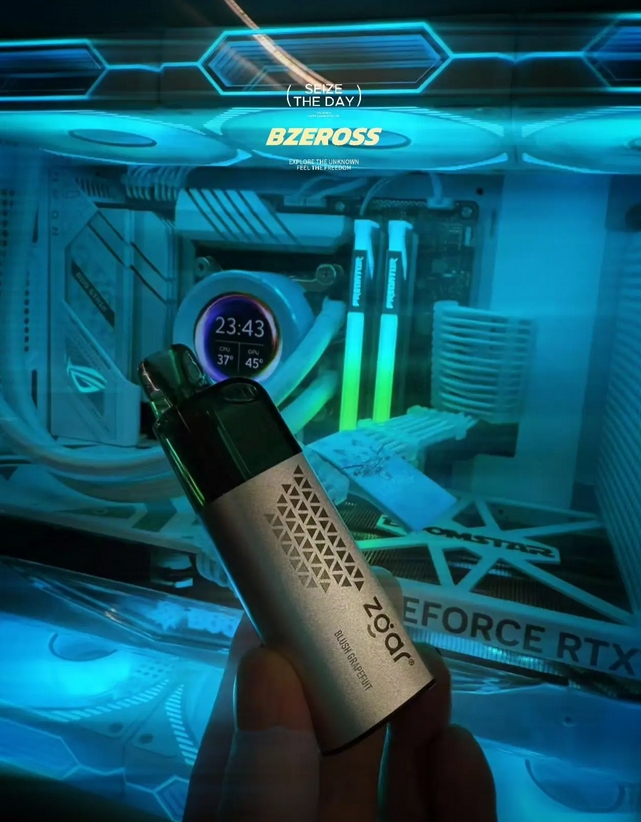 ZGAR真格冰熊 (6).png